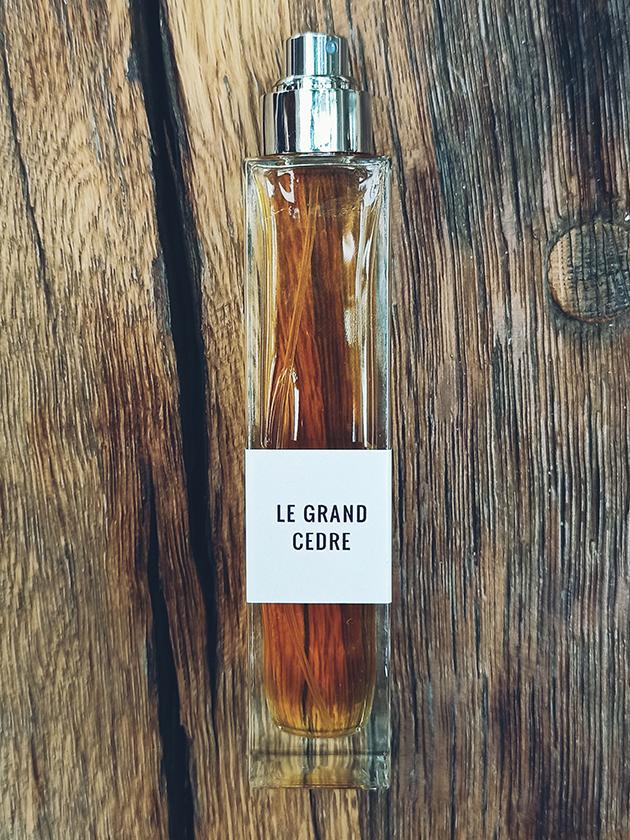 Le Grand Cedre