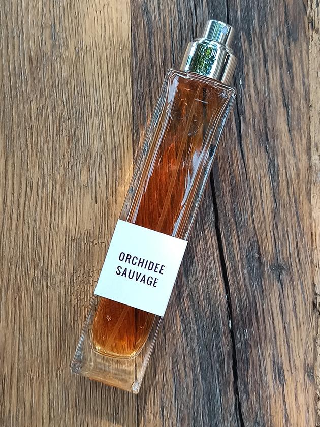Orchidee Sauvage