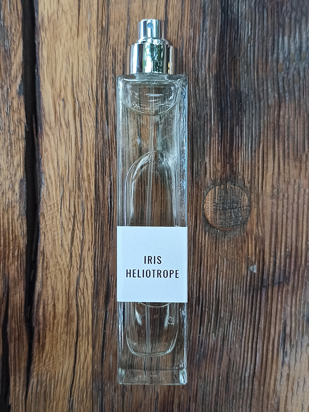 Iris - Heliotrope